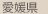 愛媛県